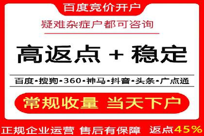 SEM代理案例：揭秘成功背后的秘密